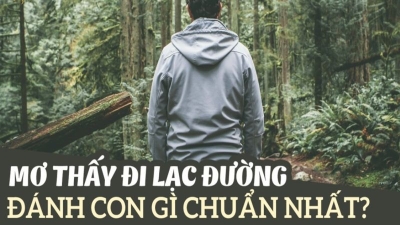 Giải mã giấc mơ lạc đường sẽ mang đến điềm báo gì? Đánh con gì ?