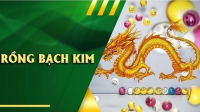 Rồng bạch kim – Kinh nghiệm chốt số đặc biệt hiệu quả