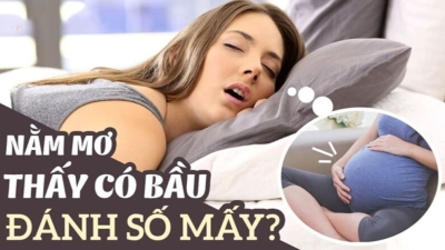 Giải mã giấc mơ có bầu mang điềm báo gì ? Nên đánh cặp số nào ?